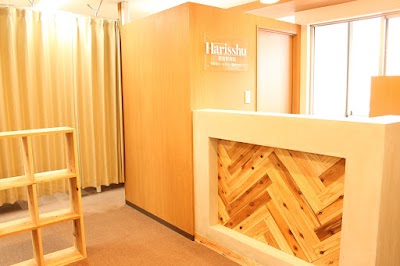 Harisshu整骨院 新宿西口院