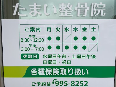 たまい整骨院