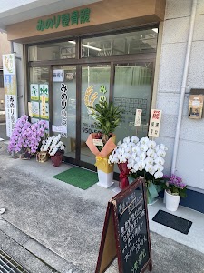 みのり整骨院