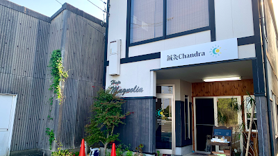 美容鍼特化型サロン 鍼灸Chandra