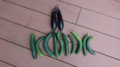 まつもと鍼灸整骨院