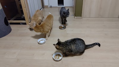 キュベレイ