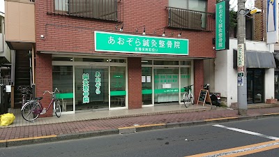 あおぞら鍼灸整骨院