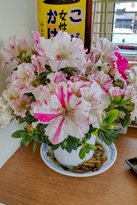 あんどう接骨院