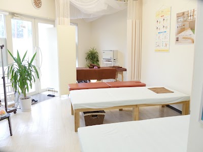 クリニカルカイロプラクティック 燕