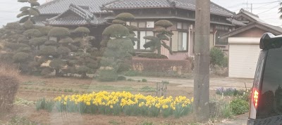 整骨院