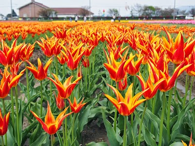 たなか鍼灸院整骨院 バクのジム
