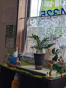 野草の里 整体鈴木
