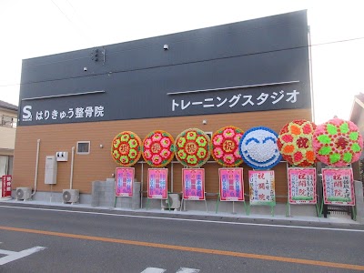 はりきゅう整骨院SUBARU健康美容