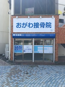 おがわ接骨院