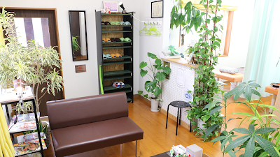 気仙沼みどり接骨院