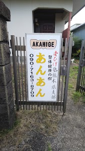 無痛整体院 健康の樹 あんあん