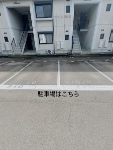 カイロプラクティックsun