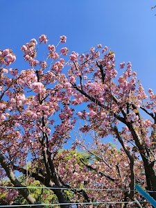 みつよし接骨院