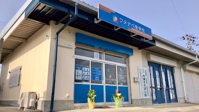 ワタナベ整骨院