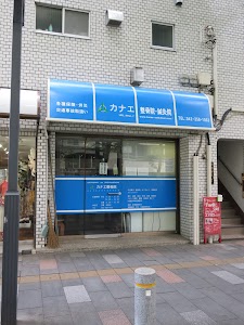 カナエ整骨院