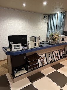 やさしい整体知