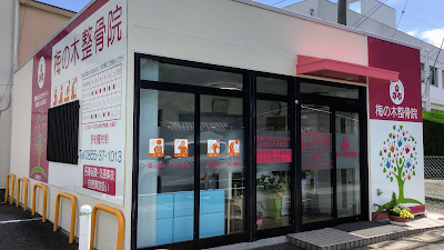 梅の木整骨院