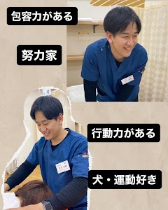 ほねつぎ総社はりきゅう接骨院