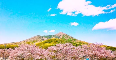 ふじた接骨院