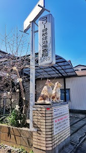 コリー骨格健治施療院