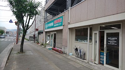 にしかわ整骨院