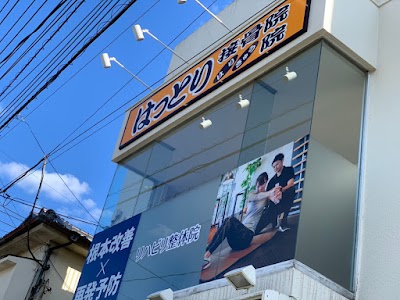 はっとりはりきゅう接骨院・整骨院 与野本町院