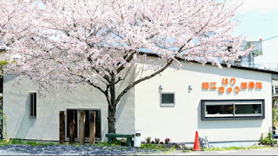 堀江はりきゅう接骨院