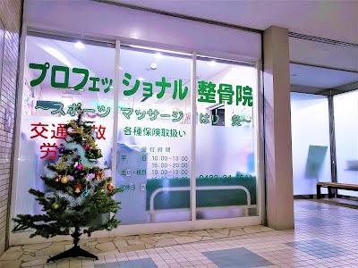 プロフェッショナル整骨院