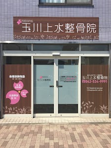 玉川上水整骨院