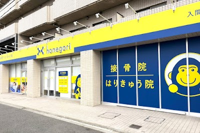 ほねごり接骨院・はりきゅう院 入間市役所前院