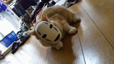 しばた整骨院