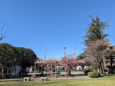 桐山鍼灸整骨院