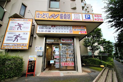 はっとりはりきゅう接骨院・整骨院 上落合院