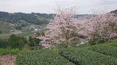 鍼灸サロンMinori-みのり-