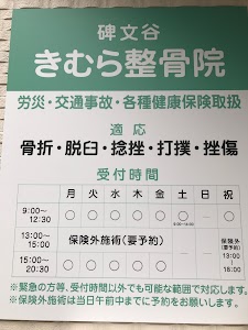 碑文谷きむら整骨院