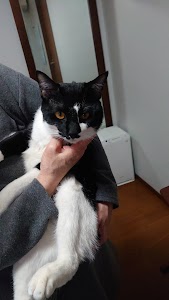 天草はり灸院