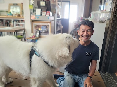 にしなか接骨院