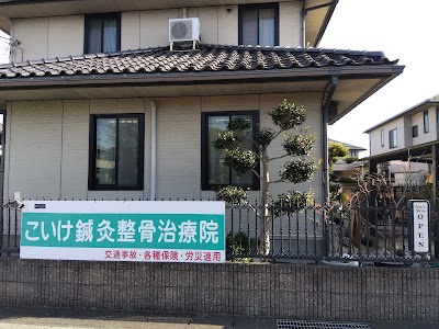 こいけ鍼灸整骨治療院