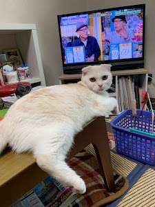 ながおのさと産骨院