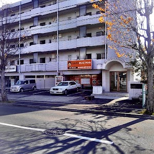 とみざわせいこついん