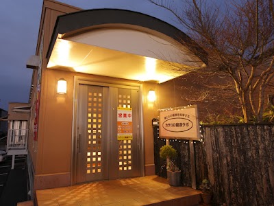 カラコロ健康ラボ