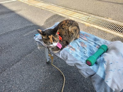 さかえ研究所