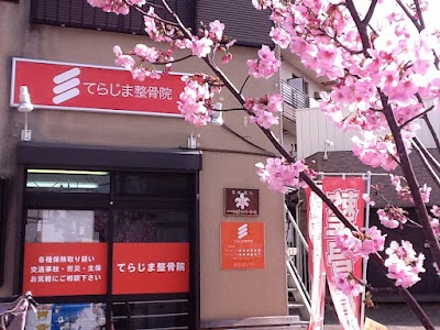 てらじま整骨院