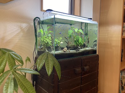 みつば整骨院