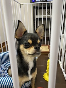 河野健康回復センター
