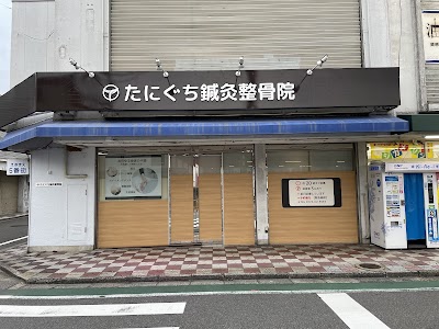 たにぐち鍼灸整骨院