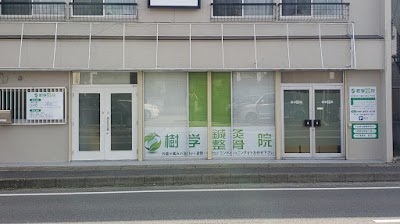 樹学鍼灸整骨院