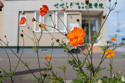 せせらぎはりきゅう整骨院