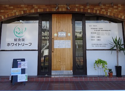 鍼灸院ホワイトリーフ